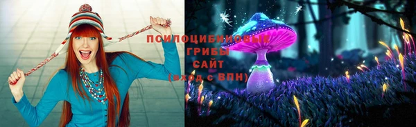 твердый Вяземский
