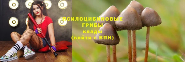 таблы Вязьма