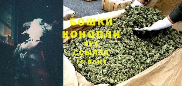 твердый Вяземский