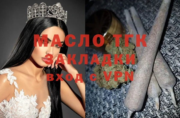 твердый Вяземский