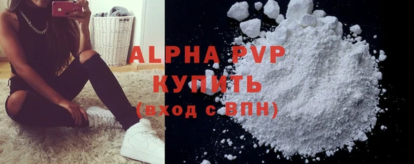 шишки Тавда