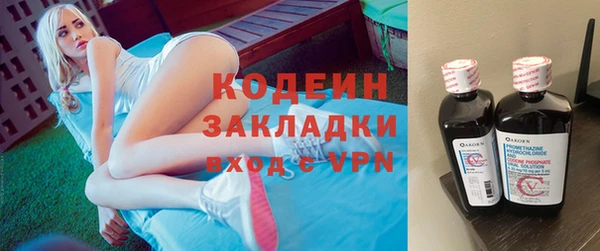 твердый Вяземский