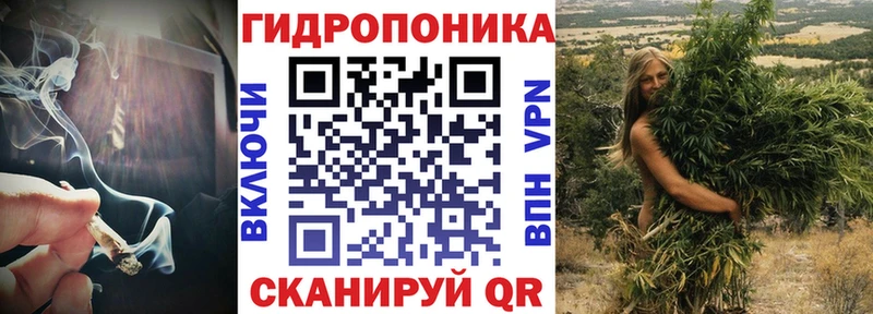Каннабис планчик  Питкяранта 